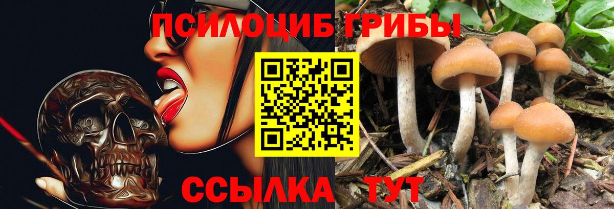 Псилоцибиновые грибы мицелий  Вход с VPN  Буйнакск 